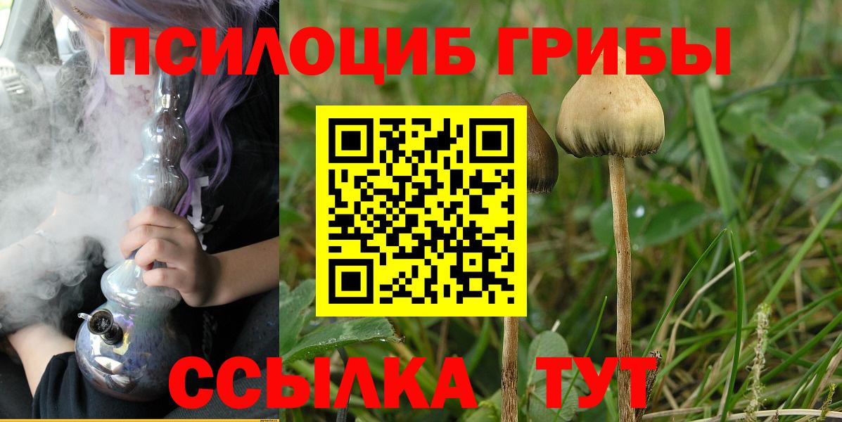 Галлюциногенные грибы мицелий  Вход с VPN  Сибай 